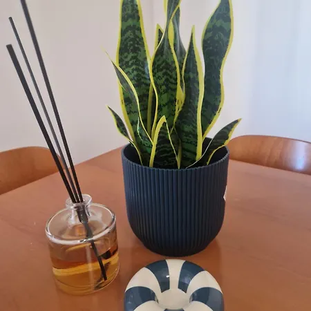 Bellini7 & Posto Auto *