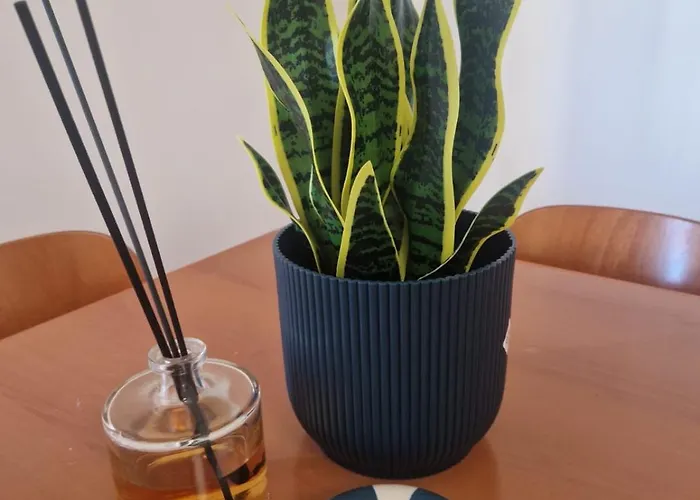 Bellini7 & Posto Auto *